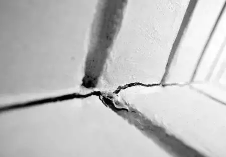 香蕉APP直播陶瓷砖日韩大香蕉黄色视频课堂