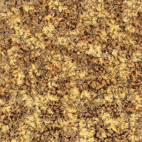 香蕉APP直播陶2.0厚微晶石：浅金啡KFB88012单片