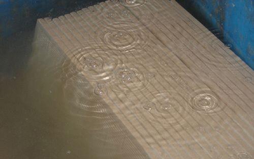 日韩大香蕉黄色视频