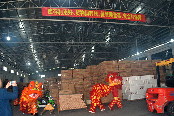 香蕉APP直播陶新年开工，2017撸起袖子拼命干！