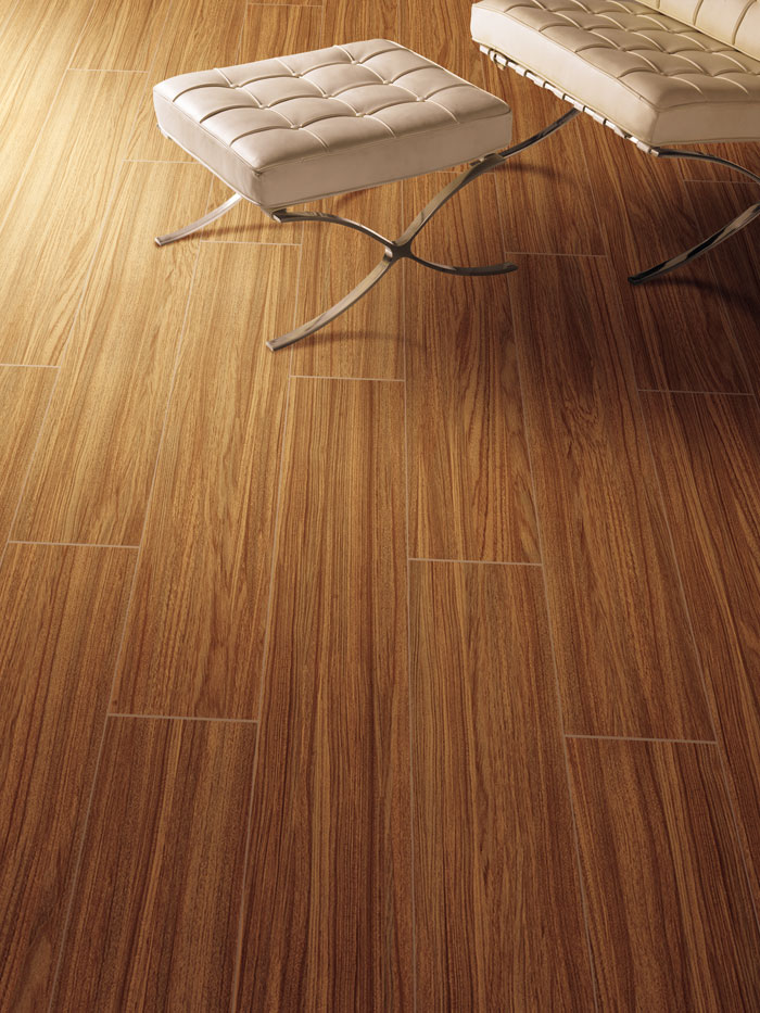 最美，不过当阳光遇上森林