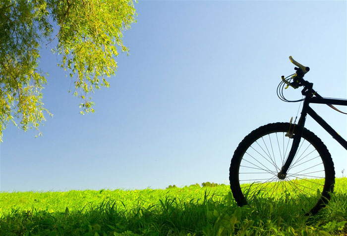 即便是春风十里，依然不如你